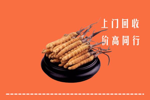 海南陵水县冬虫夏草回收多少钱每克