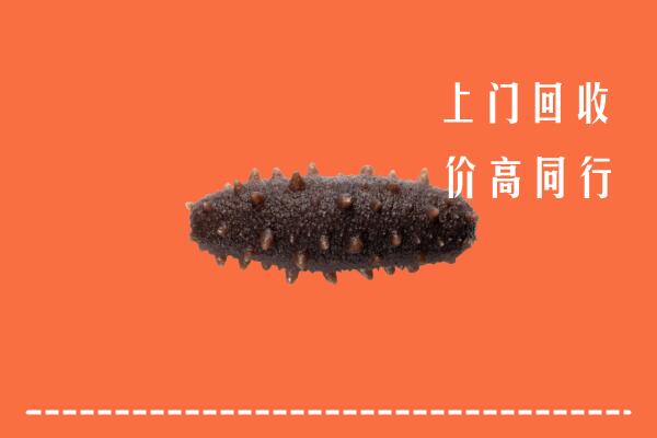 收购行情：海南陵水县回收海参