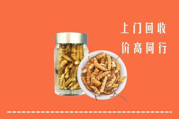 高价求购：海南陵水县回收冬虫夏草